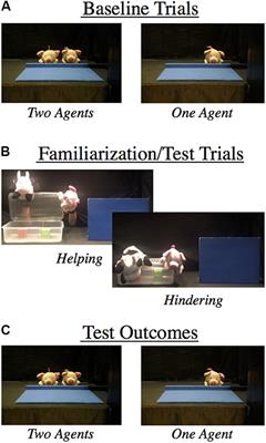 Examining Infants’ Individuation of Others by Sociomoral Disposition